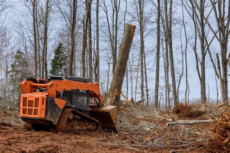 Skidsteer Removing Brush and Trees 